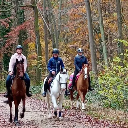 Дом отдыха Ancienne Maison De Famille